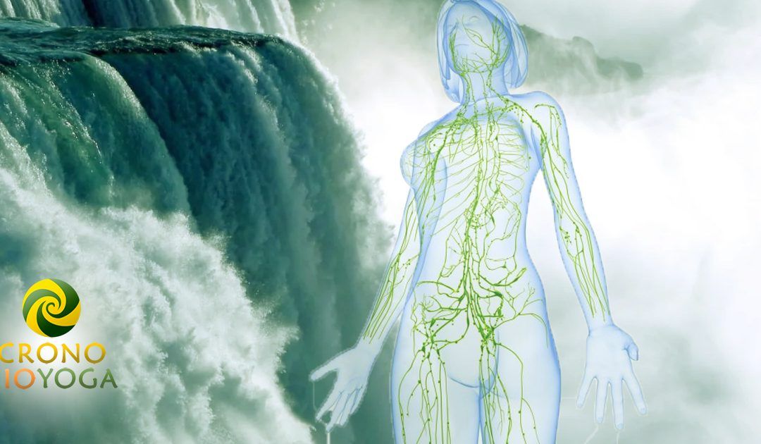 Mantener el SISTEMA INMUNE FUERTE es muy importante. ¡ Aumenta tus defensas con  YOGA-DETOX en 7 días !