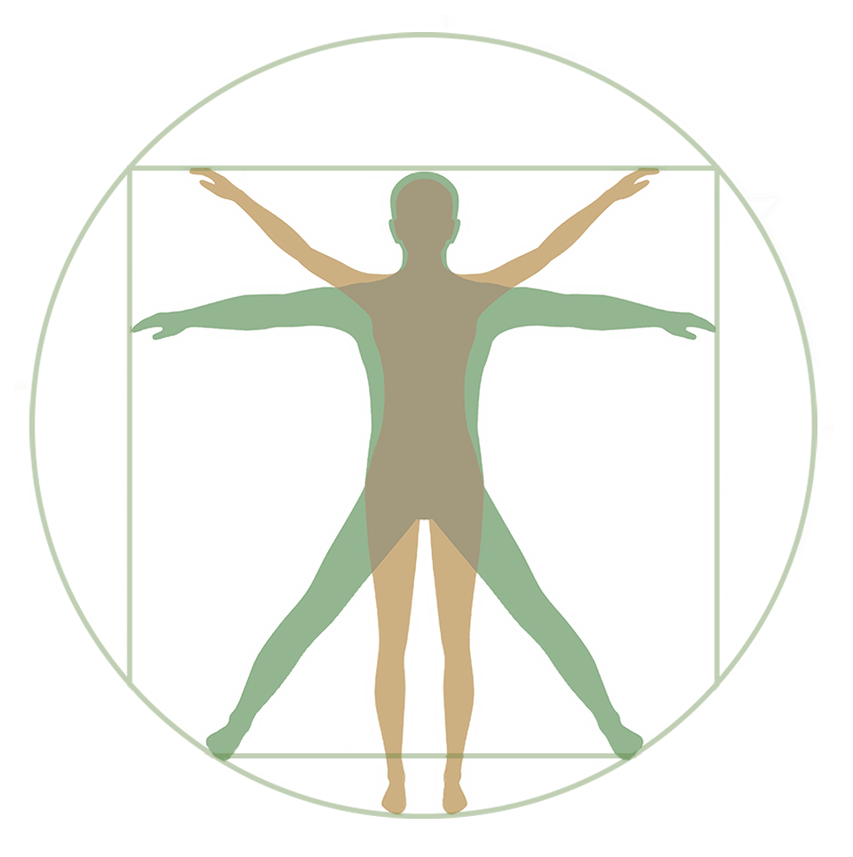 yoga online biorritmos 2